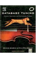 Database Tuning:Principles, Experiments And Troubleshooting Techniques