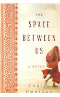 Space Between Us (Large Print)