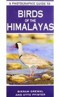 Photographic Guide to Birds of the Himalayas