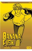 Banana Fish, Vol. 14