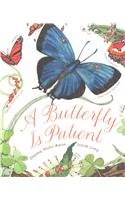 Butterfly Is Patient