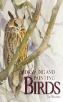 Drawing and Painting Birds