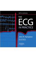 The Ecg In Practice