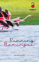 Running Flamingos