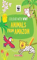 WWF Animal Colouring Book - Amazon