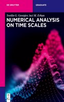 Numerical Analysis on Time Scales