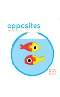 Touchthinklearn: Opposites