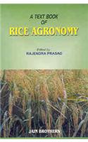 Textbook Of Rice Agronomy