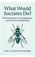 What Would Socrates Do?