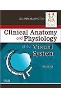 Clinical Anatomy and Physiology of the Visual System