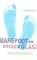 Barefoot On Broken Glass: The Five Secrets Of Personal Success In A Massively Changing Business