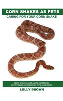 Corn Snakes as Pets