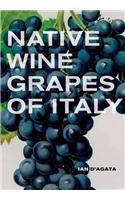 Native Wine Grapes of Italy