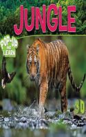 Jungle - 3D Pop-up Book