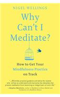 Why Can't I Meditate?