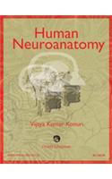 Human Neuroanatomy