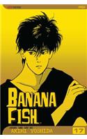 Banana Fish, Vol. 17