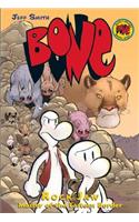 Rock Jaw: Master of the Eastern Border: A Graphic Novel (Bone #5)