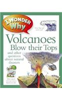 I Wonder Why Volcanoes Blow Their Tops