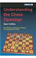 Understanding the Chess Openings