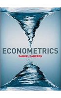 Econometrics with Online Learning Centre