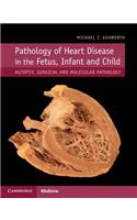 Pathology of Heart Disease in the Fetus, Infant and Child