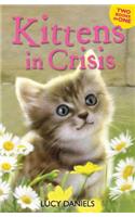 Kittens in Crisis