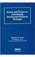 Assets and Finances: Calculating Intellectual Property Damages