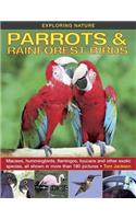 Exploring Nature: Parrots & Rainforest Birds