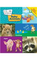 Baby Animals