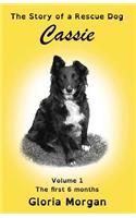 Cassie, the story of a rescue dog