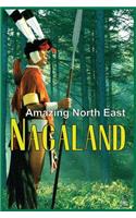 Amazing North East - Nagaland