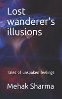 Lost wanderer's illusions