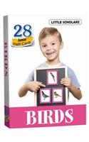 Flash Cards - BIRDS