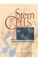 Stem Cells and the Future of Regenerative Medicine