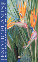 Kew Gardens: Marianne North Wall Calendar 2024 (Art Calendar)