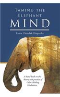 Taming the Elephant Mind