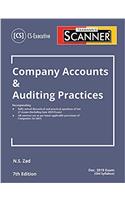 SCANNER-COMPANY ACCOUNTS & AUDITING PRACTICES (CS-Executive)