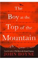 Boy at the Top of the Mountain