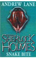 Young Sherlock Holmes 5