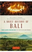 Brief History of Bali