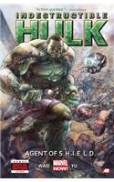 Indestructible Hulk