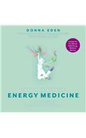 Little Book of Energy Medicine