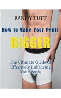 How to Make Your Penis BIGGER (Large Print)