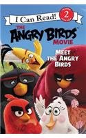 The Angry Birds Movie: Meet the Angry Birds