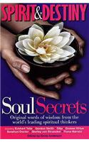 Spirit and Destiny: Soul Secrets