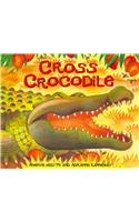 African Animal Tales: Cross Crocodile