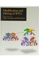 Modification and Editing of RNA