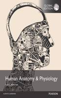 Human Anatomy & Physiology, Global Edition