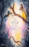 The Star in the Forest